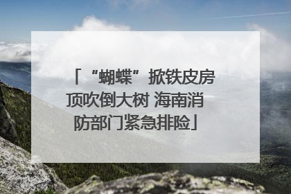 “蝴蝶”掀铁皮房顶吹倒大树 海南消防部门紧急排险
